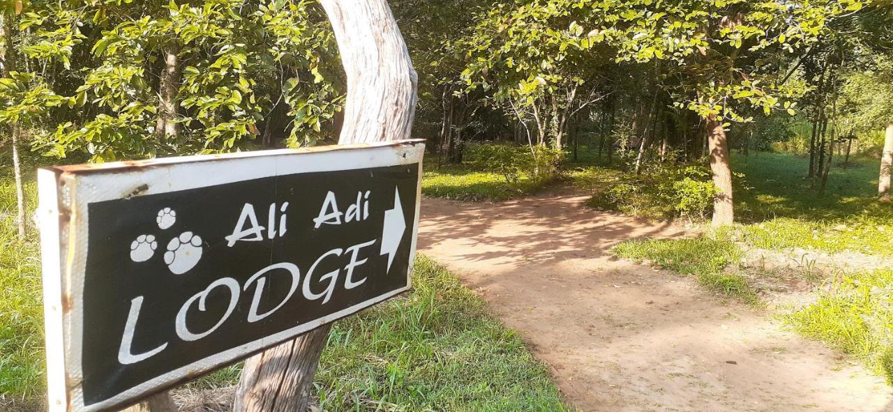 Ali Adi Eco Сігірія